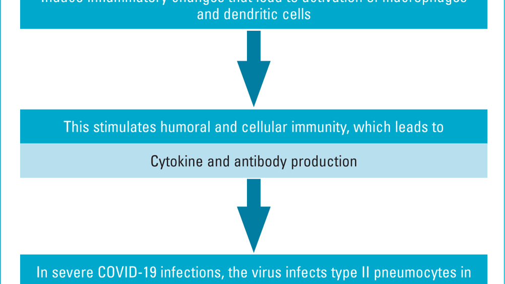 Coronavirus Disease (COVID-19): Pathophysiology, Epidemiology